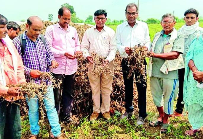 Farmers should register online for seeds on the MahaDBT portal | शेतकऱ्यांनी बियाण्यांसाठी महाडीबीटी पोर्टलवर ऑनलाईन नोंदणी करावी