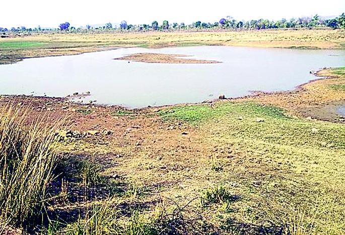 Only 16 per cent of 63 projects have water storage | 63 प्रकल्पांत केवळ 16 टक्केच जलसाठा Only 16 per cent of 63 projects have water storage | 63 प्रकल्पांत केवळ 16 टक्केच जलसाठा