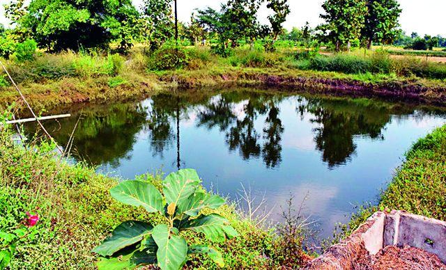 Half a meter increase in the ground water level by the submersible shire | जलयुक्त शिवारने भूजल पातळीत अर्धा मीटर वाढ