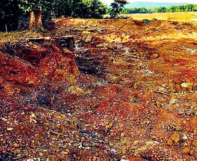 Lessons from Revenue and Forest Department | महसूल व वनविभागाने फिरविली चौकशीकडे पाठ Lessons from Revenue and Forest Department | महसूल व वनविभागाने फिरविली चौकशीकडे पाठ