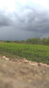 Cloudy weather in the area with mesh | मेशीसह परिसरात ढगाळ वातावरण Cloudy weather in the area with mesh | मेशीसह परिसरात ढगाळ वातावरण