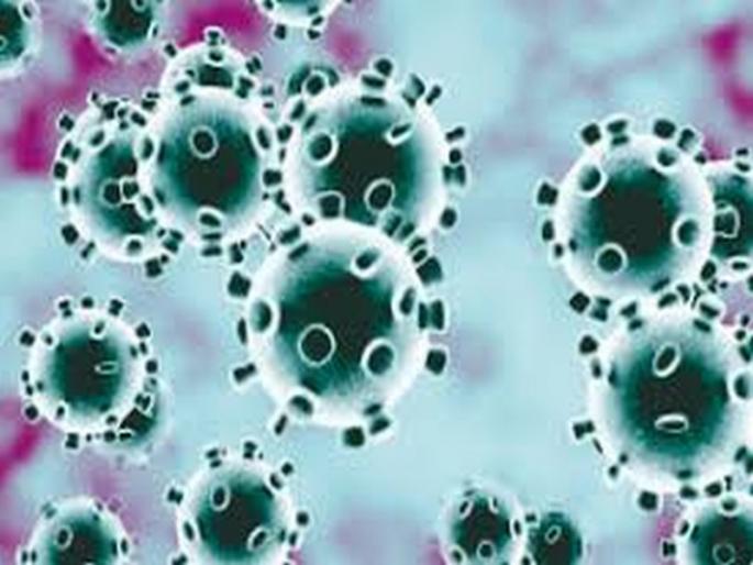  Truck driver killed in Yavatmal | ट्रकचालकाचा यवतमाळमध्ये मृत्यू