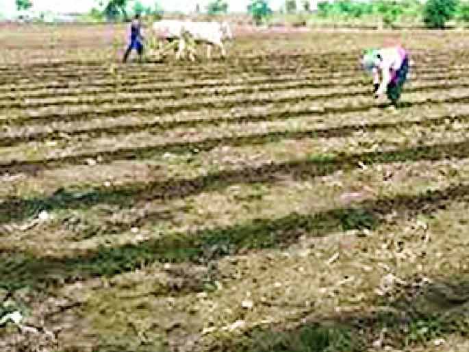 Farmers should not rush for kharif sowing | खरिपाच्या पेरणीसाठी शेतकऱ्यांनी घाई करू नये