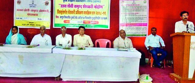 Avoid the use of thieves Bt seeds | चोर बीटी बियाण्यांचा वापर टाळा Avoid the use of thieves Bt seeds | चोर बीटी बियाण्यांचा वापर टाळा