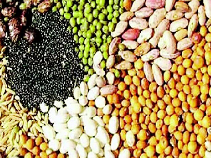 Farmers should see the label when buying seeds | शेतकऱ्यांनी बियाणे खरेदी करताना लेबल बघावे Farmers should see the label when buying seeds | शेतकऱ्यांनी बियाणे खरेदी करताना लेबल बघावे