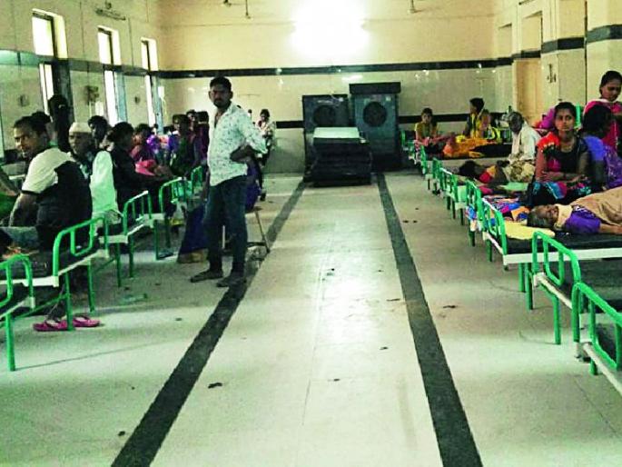 Outbreak of Dengue | डेंग्यूचा प्रकोप Outbreak of Dengue | डेंग्यूचा प्रकोप