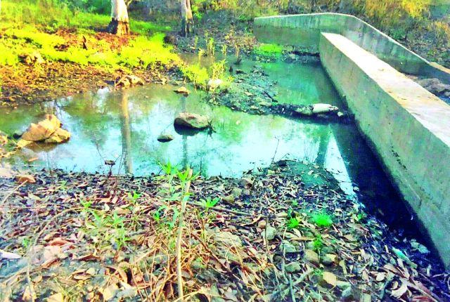 32 out of 34 water dryers | ३४ पैकी ३२ पाणवठे कोरडे