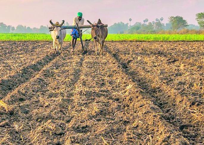 Leaders who show compassion for project victims are silent! | प्रकल्पग्रस्तांबाबत कळवळा दाखवणारी नेतेमंडळी गप्पच ! Leaders who show compassion for project victims are silent! | प्रकल्पग्रस्तांबाबत कळवळा दाखवणारी नेतेमंडळी गप्पच !