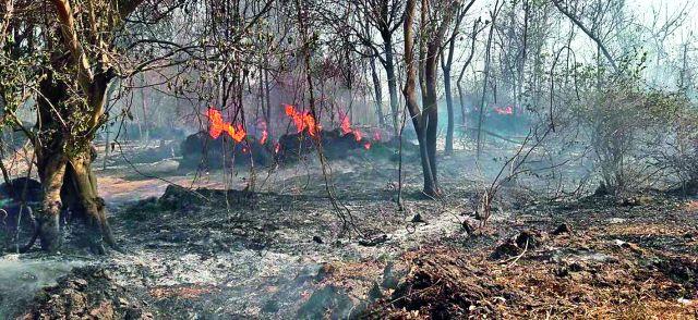 Fireball at Kadoli | कढोली येथे आगीचे तांडव