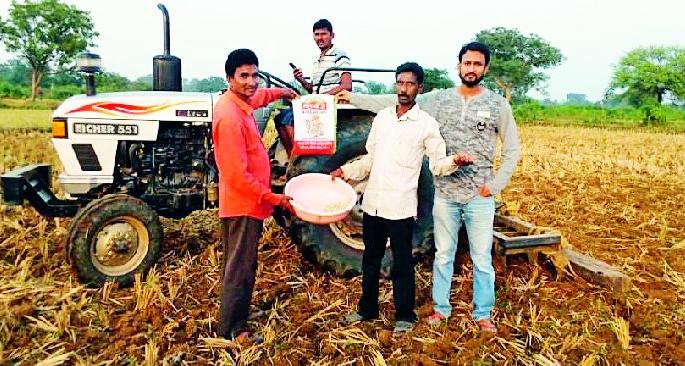 Crab plantation to protect rabi crops from wildlife | वन्यप्राण्यांपासून रब्बी पिकांच्या संरक्षणासाठी करडई लागवड Crab plantation to protect rabi crops from wildlife | वन्यप्राण्यांपासून रब्बी पिकांच्या संरक्षणासाठी करडई लागवड