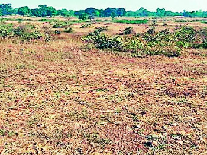 498 Individual claims land without counting | ४९८ वैयक्तिक दाव्यांची जमीन अद्याप मोजणीविना 498 Individual claims land without counting | ४९८ वैयक्तिक दाव्यांची जमीन अद्याप मोजणीविना