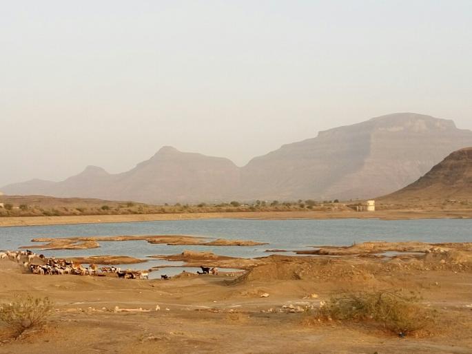  Five percent water stock in Nashik district | नाशिक जिल्ह्यात अवघा पाच टक्के पाणीसाठा