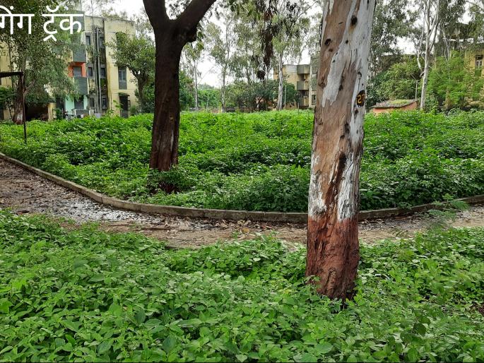 ESI staff threaten colony health | ईएसआय कर्मचारी वसाहतीचे आरोग्य धोक्यात ESI staff threaten colony health | ईएसआय कर्मचारी वसाहतीचे आरोग्य धोक्यात