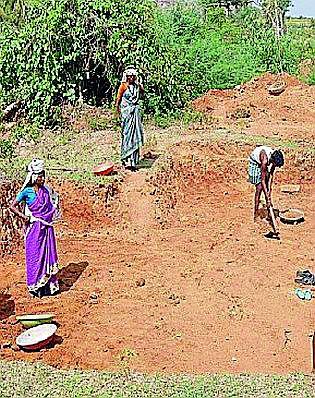 Employment of 13 thousand laborers | १३ हजार मजुरांना रोजगार