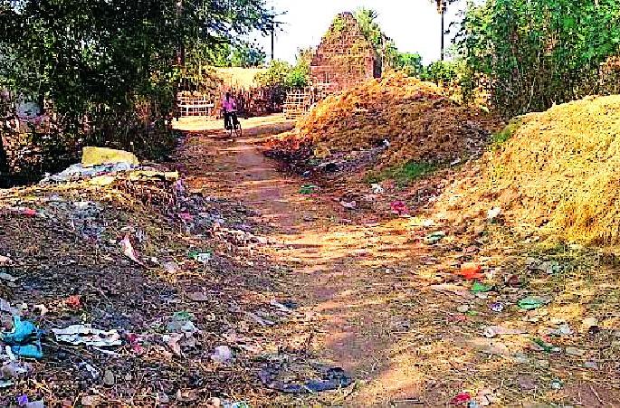 Vairagadat cleanliness campaign | वैरागडात स्वच्छता अभियानाचा फज्जा