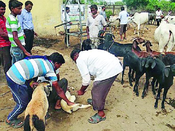 Farmer training at Wagholi | वाघोली येथे शेतकरी प्रशिक्षण Farmer training at Wagholi | वाघोली येथे शेतकरी प्रशिक्षण