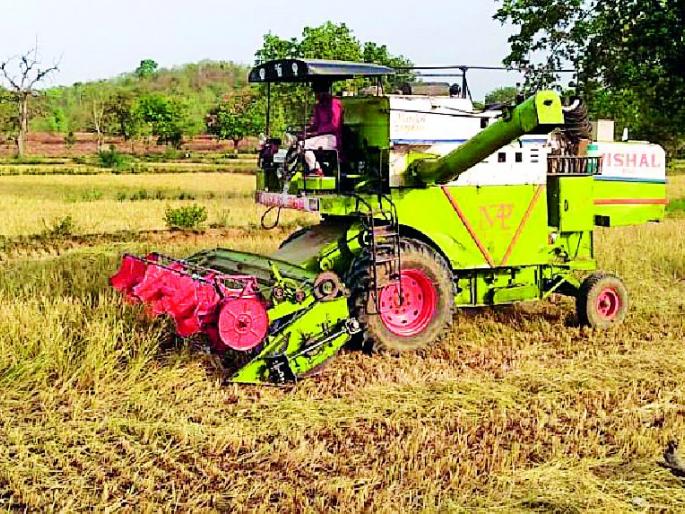 Harvester Harry Paddy Thawing Fun | हार्वेस्टरने हरविली धान मळणीची मजा