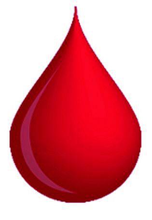  Voluntary blood donation of 6 thousand 9 13 people | ६ हजार ९१३ जणांचे स्वेच्छा रक्तदान