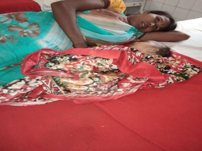 In the forest found a boy caught in a machete | मातेच्या कुशीतून पळविलेले बालक सापडले जंगलात In the forest found a boy caught in a machete | मातेच्या कुशीतून पळविलेले बालक सापडले जंगलात