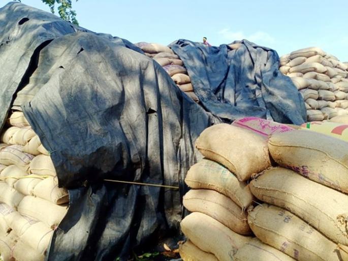 two lakh quintals of paddy in Gondia is on ground | गोंदियात महामंडळाचे दोन लाख क्विंटल धान उघड्यावर two lakh quintals of paddy in Gondia is on ground | गोंदियात महामंडळाचे दोन लाख क्विंटल धान उघड्यावर