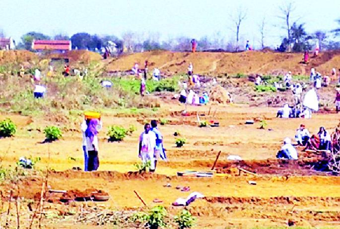 Chaos in MNREGA work | मनरेगाच्या कामात अनागोंदी Chaos in MNREGA work | मनरेगाच्या कामात अनागोंदी