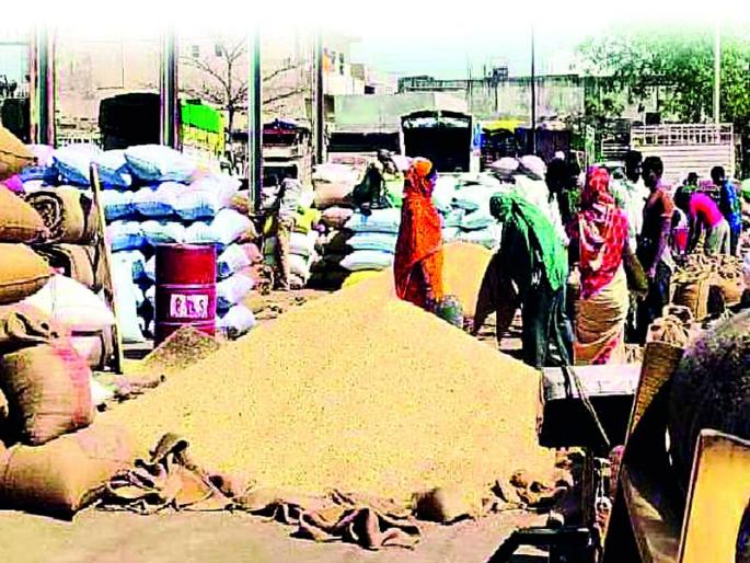 Bonus, no price, no profit; Buy grain to become a commodity! | बोनस, किंमत नाही, ना मिळाला नफा; मालामाल होण्यासाठी धान खरेदी करा ! Bonus, no price, no profit; Buy grain to become a commodity! | बोनस, किंमत नाही, ना मिळाला नफा; मालामाल होण्यासाठी धान खरेदी करा !