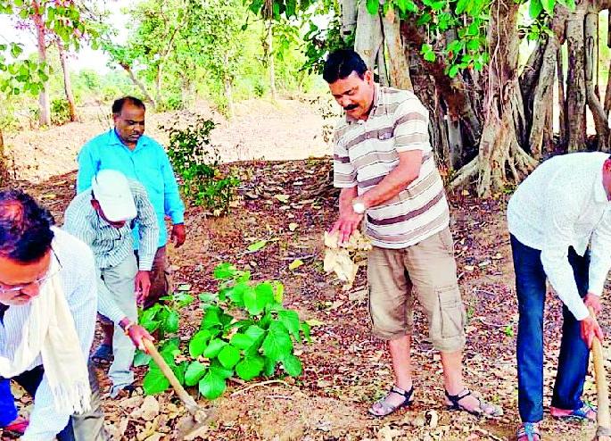 Nature board troupes to live plants | झाडे जगविण्यासाठी निसर्ग मंडळाची धडपड Nature board troupes to live plants | झाडे जगविण्यासाठी निसर्ग मंडळाची धडपड