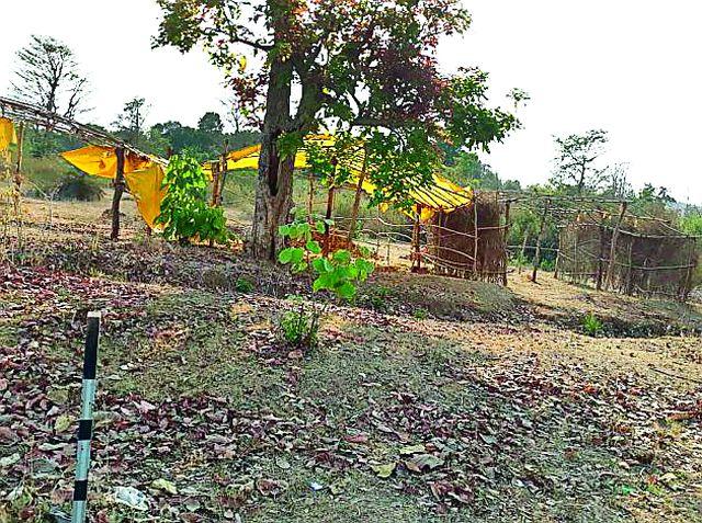 Encroachment at the site of the river | नदीकाठालगतच्या जागेवर अतिक्रमण Encroachment at the site of the river | नदीकाठालगतच्या जागेवर अतिक्रमण