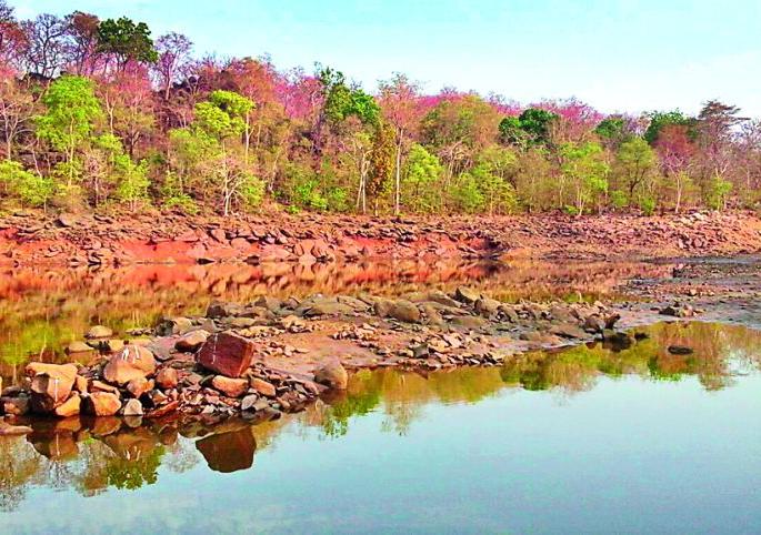 The water reservoirs in the district were dry | जिल्ह्यातील जलाशये झाली ड्राय The water reservoirs in the district were dry | जिल्ह्यातील जलाशये झाली ड्राय