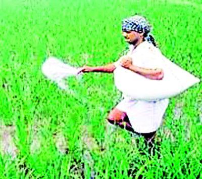 Urea starts leaking on fertilizer | युरिया खतावर लिकिंग सुरूच Urea starts leaking on fertilizer | युरिया खतावर लिकिंग सुरूच