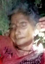 Women die in the welfare of bears | अस्वलाच्या हल्यात महिला ठार