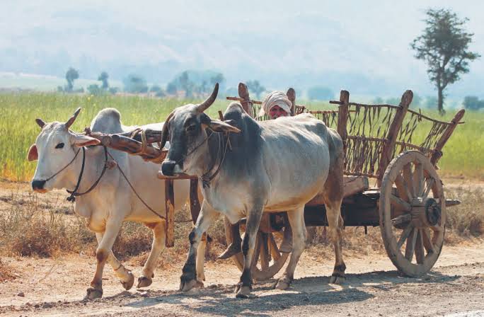In the age of science, bullock carts are left only in name only! | विज्ञानयुगात बैलगाडी उरली केवळ नावापुरती !