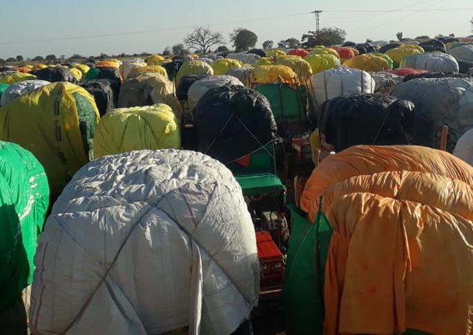 Eight days of official cotton shopping closed, queues of vehicles | आठ दिवस शासकीय कापूस खरेदी बंद, वाहनांच्या रांगा