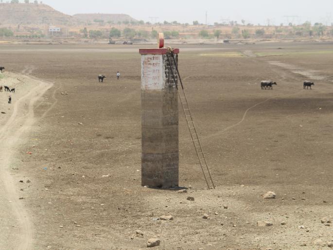 Dhanwadi reservoir corridor | घाणेवाडी जलाशय कोरडाठाक Dhanwadi reservoir corridor | घाणेवाडी जलाशय कोरडाठाक