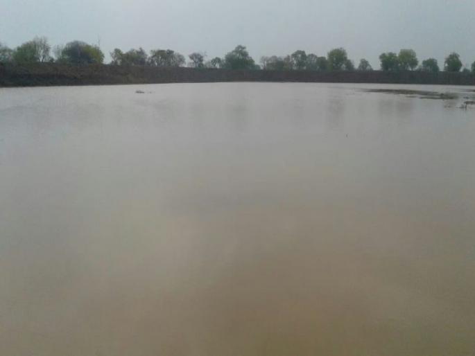  Melamares percolation pond first rain! | कळमसरे पाझर तलाव पहिल्याच पावसात तुडूंब !