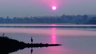 Eclipse of Pollution Pollution | कळंबा तलावास प्रदूषणाचे ग्रहण Eclipse of Pollution Pollution | कळंबा तलावास प्रदूषणाचे ग्रहण