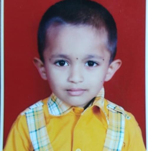 Attacked with a child of a wild animal | मोकाट जनावरांचा बालकासह वृद्धेवर हल्ला Attacked with a child of a wild animal | मोकाट जनावरांचा बालकासह वृद्धेवर हल्ला