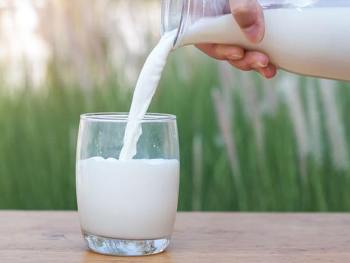 In Dhule district, milk should be given 2 rupees per liter | धुळे जिल्ह्यात दूधाला ५५ रूपये लिटर भाव द्यावा In Dhule district, milk should be given 2 rupees per liter | धुळे जिल्ह्यात दूधाला ५५ रूपये लिटर भाव द्यावा