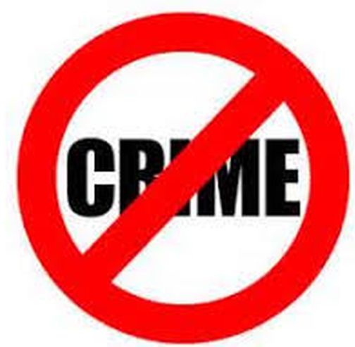 61,000 cotton lamps from Meghmalhar City | मेघमल्हार सिटीतून ६१ हजाराचा कापूस लंपास 61,000 cotton lamps from Meghmalhar City | मेघमल्हार सिटीतून ६१ हजाराचा कापूस लंपास