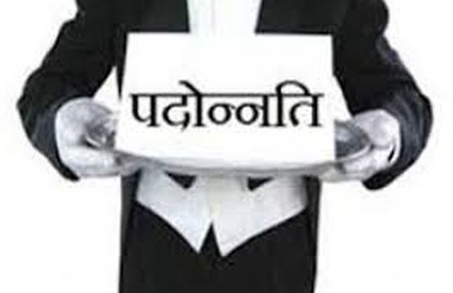 Pave the way for promotion of education extension officers | शिक्षण विस्तार अधिकाऱ्यांचा पदोन्नतीचा मार्ग मोकळा Pave the way for promotion of education extension officers | शिक्षण विस्तार अधिकाऱ्यांचा पदोन्नतीचा मार्ग मोकळा