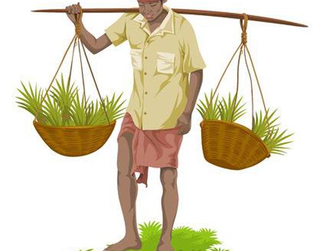 17 thousand eligible farmers for debt restructuring | कर्ज पुनर्रगठणासाठी 17 हजार शेतकरी ठरणार पात्र 17 thousand eligible farmers for debt restructuring | कर्ज पुनर्रगठणासाठी 17 हजार शेतकरी ठरणार पात्र