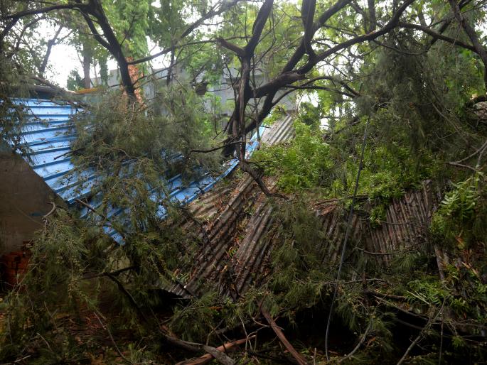 Hurricane damage awaits | चक्रीवादळ नुुकसानभरपाईची प्रतीक्षा Hurricane damage awaits | चक्रीवादळ नुुकसानभरपाईची प्रतीक्षा