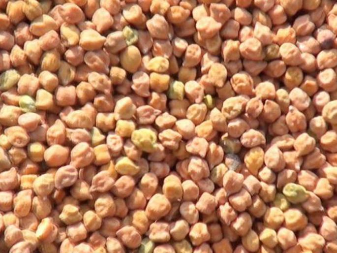 Parbhani: No, it has been sold or subsidized | परभणी : ना शेतमाल विकला, ना अनुदान मिळाले Parbhani: No, it has been sold or subsidized | परभणी : ना शेतमाल विकला, ना अनुदान मिळाले