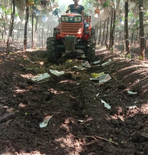 Playing pooja with water with both hands | परिस्थितीशी दोन हात करत पूजाचा पाण्याशी खेळ