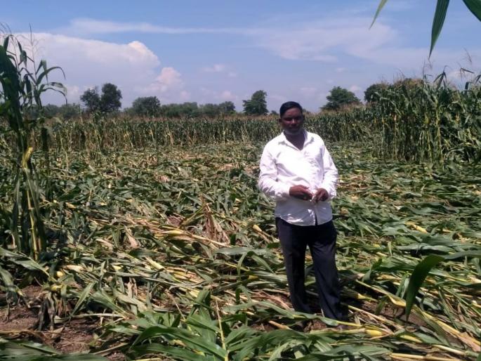 There is no panchnama of loss in Fatehpur area | फत्तेपूर परिसरात नुकसानीचे पंचनामेच नाही There is no panchnama of loss in Fatehpur area | फत्तेपूर परिसरात नुकसानीचे पंचनामेच नाही