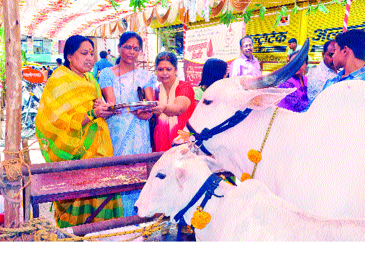 Diwali festival begins with worship of Goddhan | गोधनाच्या पूजनाने दिवाळी सणास प्रारंभ