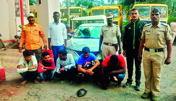 Five people were arrested for smuggling turtles | कासवाची तस्करी करणाऱ्या टोळीतील पाचजण अटकेत