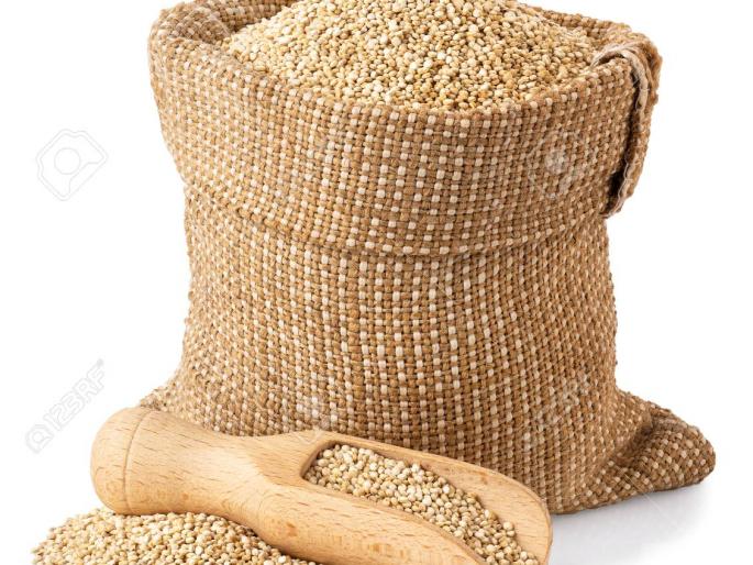 Filed a case against the manager of the seed company | बियाणे कंपनीच्या व्यवस्थापकावर गुन्हा दाखल Filed a case against the manager of the seed company | बियाणे कंपनीच्या व्यवस्थापकावर गुन्हा दाखल