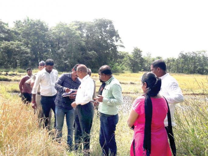 Konkan Commissioner reviews damages, orders for panchayats | कोकण आयुक्तांकडून नुकसानीचा आढावा, पंचनामे करण्याचे आदेश Konkan Commissioner reviews damages, orders for panchayats | कोकण आयुक्तांकडून नुकसानीचा आढावा, पंचनामे करण्याचे आदेश