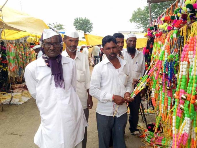 Market to fill the market; Biliraj did not make any changes | बाजारात साहित्य भरमसाठ; बळीराजाने मात्र फिरविली पाठ Market to fill the market; Biliraj did not make any changes | बाजारात साहित्य भरमसाठ; बळीराजाने मात्र फिरविली पाठ